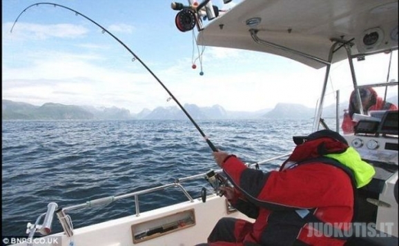 Norvegijoje sugautas didžiausias Atlantinis paltusas pasaulyje