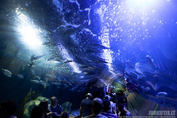 Didžiausias akvariumas Europoje