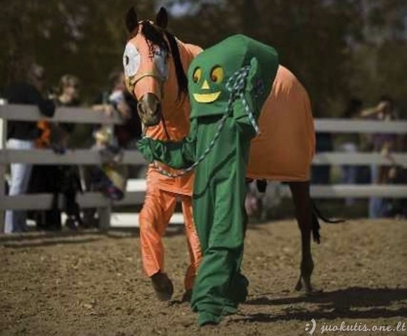 Arkliai su kostiumais