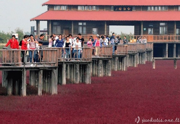 Raudonas Kinijos paplūdimys