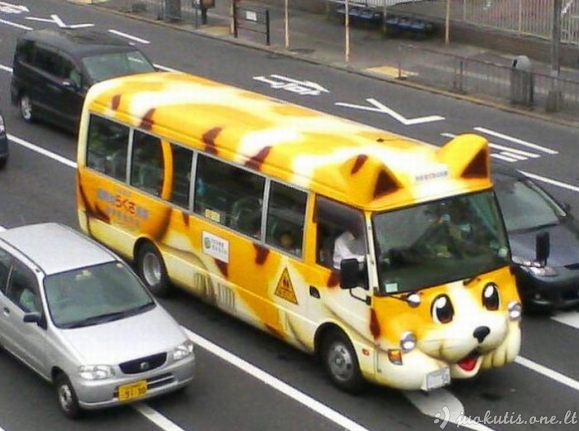 Mokykliniai autobusai Japonijoje