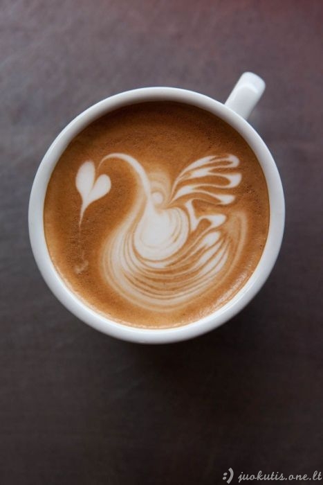 Šiek tiek naujo latte-meno