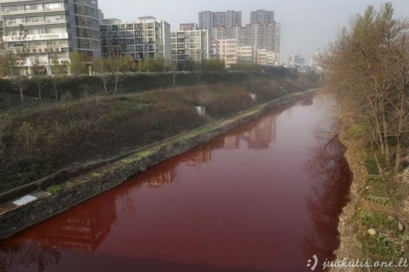 Kraujo upė