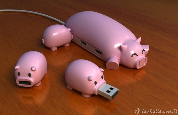 Tikra USB kiaulystė