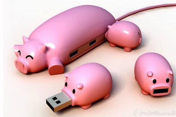 Tikra USB kiaulystė