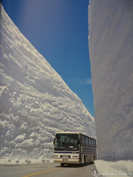 Sniegas Tojamos prefektūroje