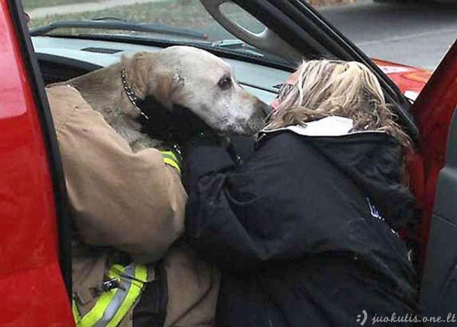 Ugniagesiai išgelbėjo šunį