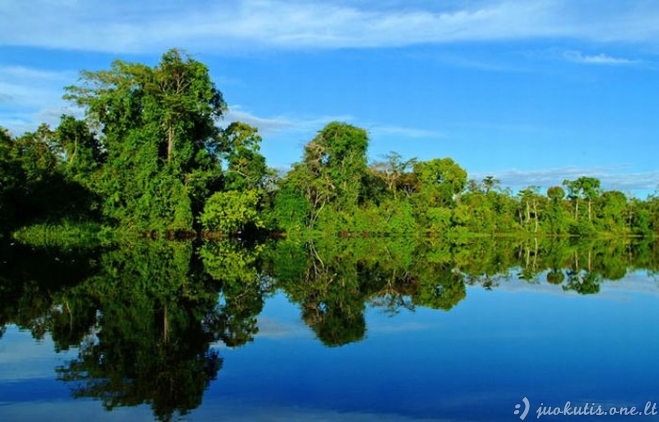 Pasiplaukiojimas Amazonės upe