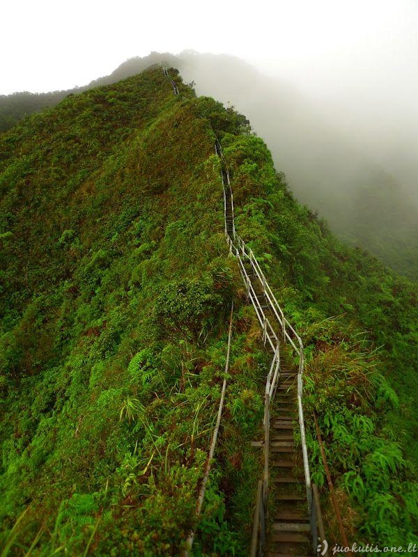 Laiptai į dangų Havajuose