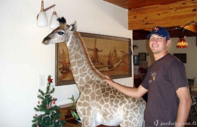 Naminė žirafa