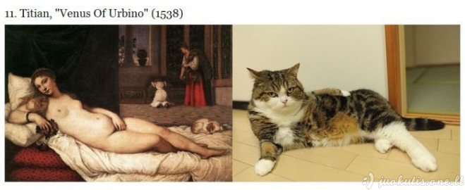 Katės kaip meno šedevrai