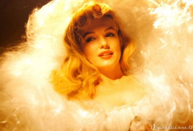 Dar nematytos Marilyn Monroe nuotraukos