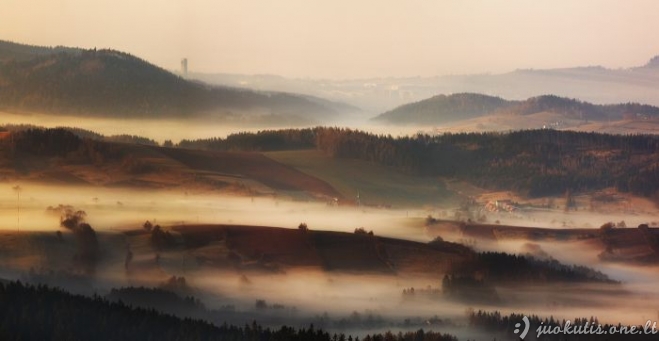 Žalios laukų bangos