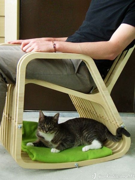 Originalūs baldai jūsų katėms