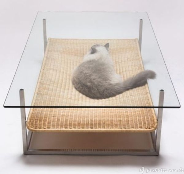 Originalūs baldai jūsų katėms