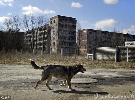 Fukušima ir Černobylis: broliai dvyniai