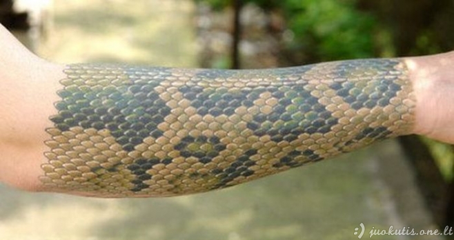 Gyvatės oda