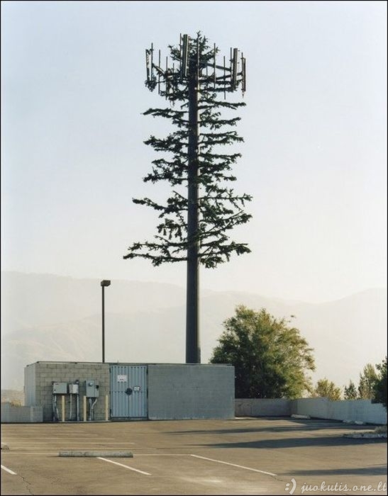 Užmaskuotos mobiliojo ryšio antenos