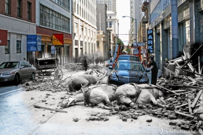 San Franciskas po žemės drebėjimo