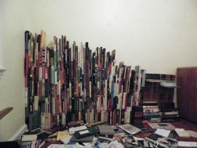 Ką daryti, jei neturi knygų lentynos?