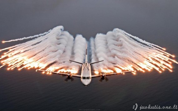 Aviacijos grožis