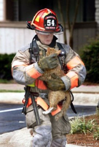 Geriečiai gaisrininkai gelbėja mielus katukus