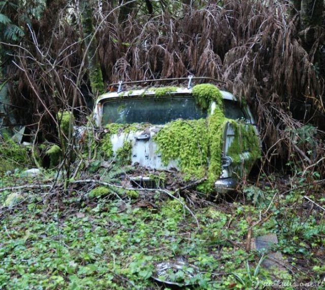 Senų automobilių kapinės