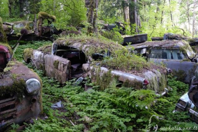 Senų automobilių kapinės