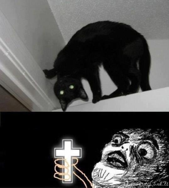 Šėtoniška katė