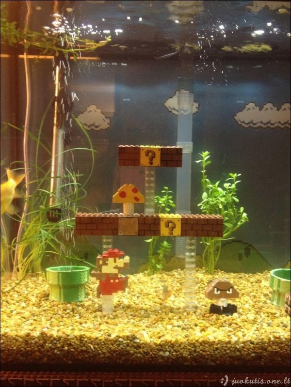 Super Mario akvariumas