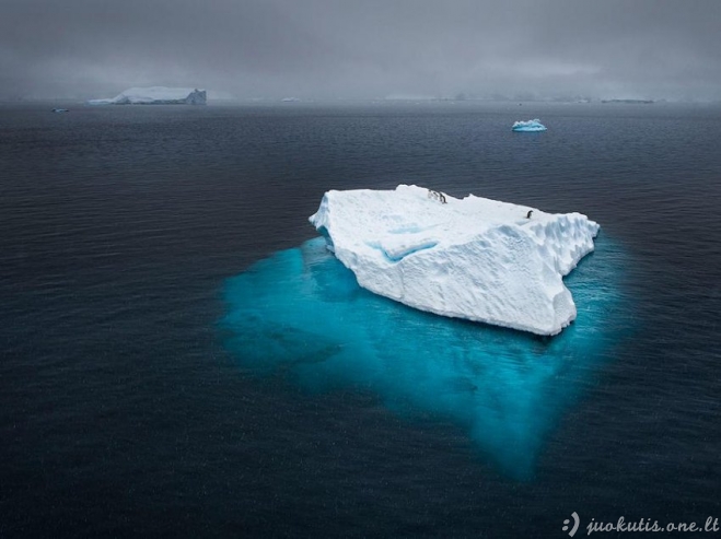 Geriausios 2012 metų fotografijos pagal National Geographic