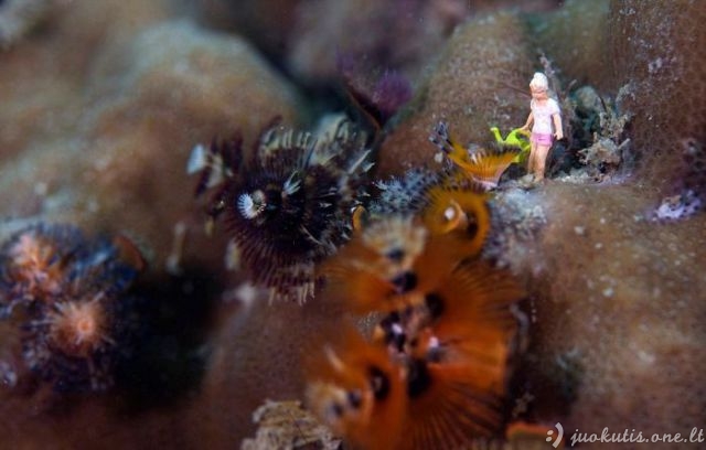Povandeninis akvariumų gyvenimas