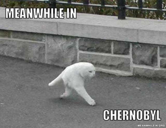 Tuo tarpu Černobilyje