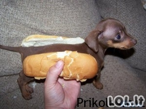 Hot dog