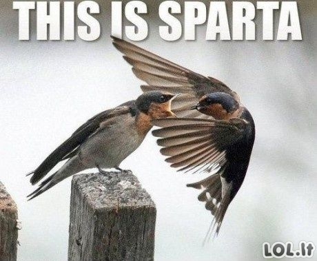 SPARTA!!!