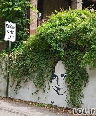 Gatvės menas teisingose vietose