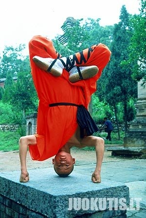Shaolin`as