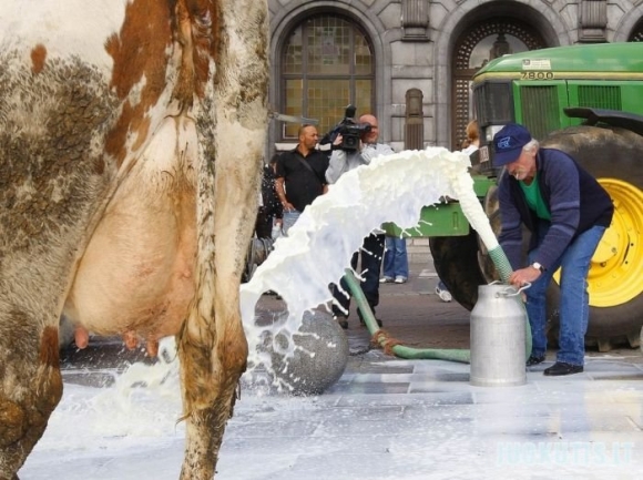 Protestas prieš pieno kainų mažinimą