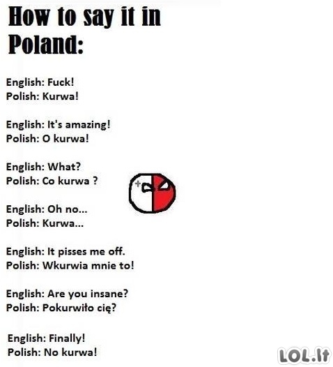 Lenkiškas žodynas