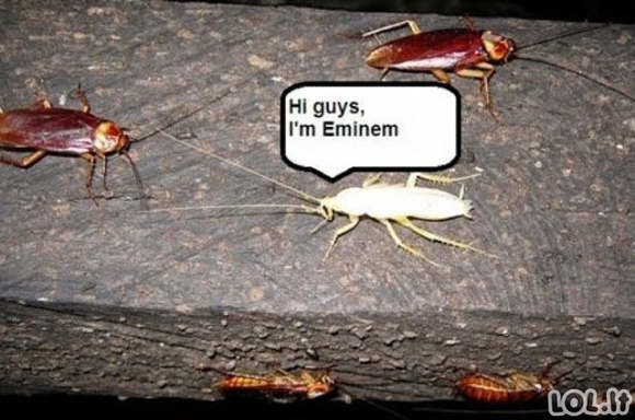 Kaip jaučiasi Eminemas