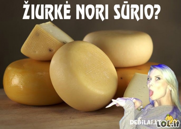 Bunkė myli sūri