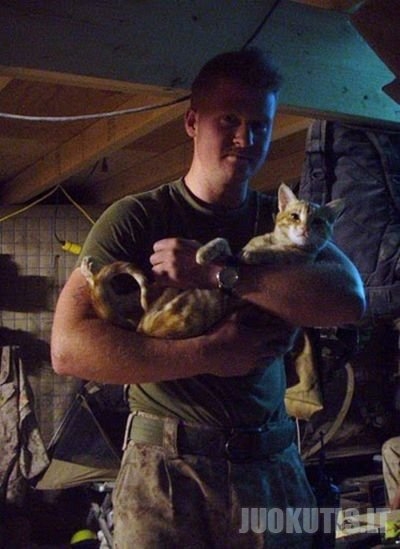 Kačiukai iš Afganistano