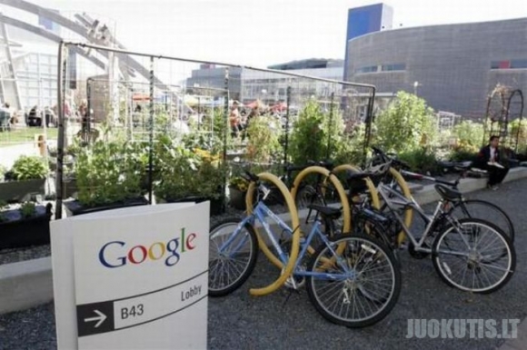 Google ofisai Kalifornijoje ir New Yorke