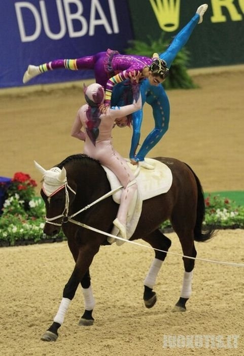 Akrobatika ant arklių