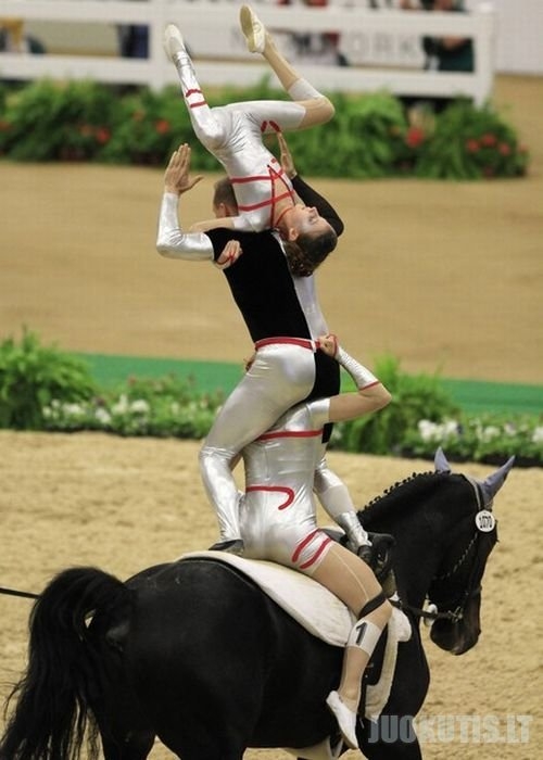 Akrobatika ant arklių