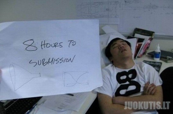 Kam miegoti namie jei gali miegoti darbe? (17 nuotraukų)