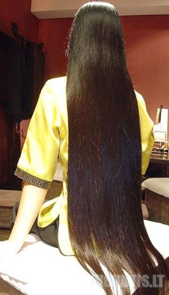 Ilgiausi plaukai (55 nuotraukos)