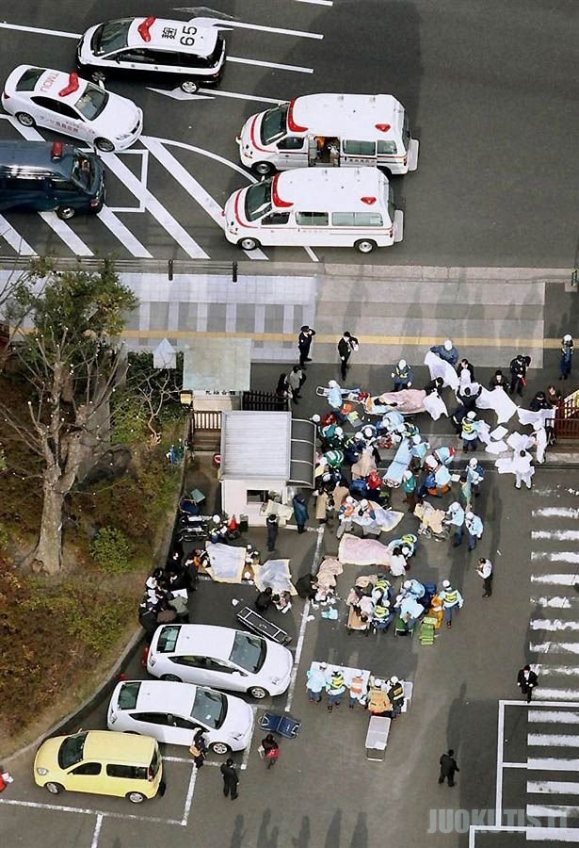 Tsunamis Japonijoje