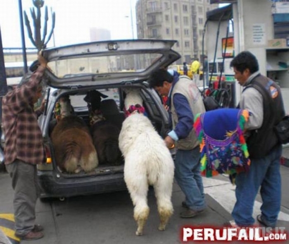 Juokingiausi vaizdeliai iš Peru