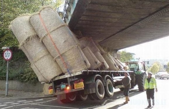 Neįprasti auto įvykiai. antra dalis